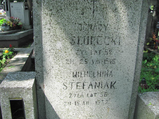 Wilhelmina Stefaniak Radzymin - Grobonet - Wyszukiwarka osób pochowanych